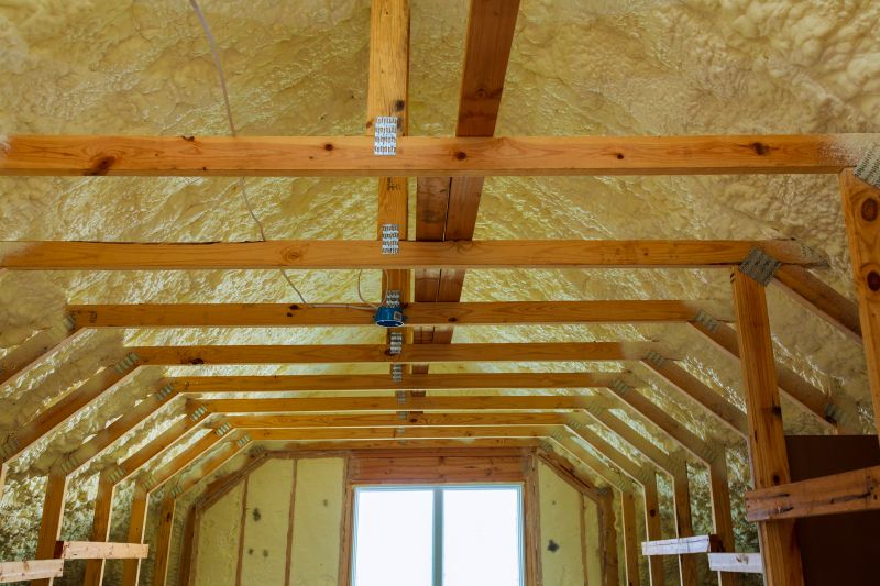 Building Insulation Service in Georgetown, TX